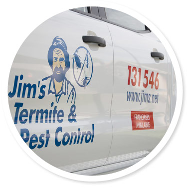 Termite Barrier Installation Toowoomba